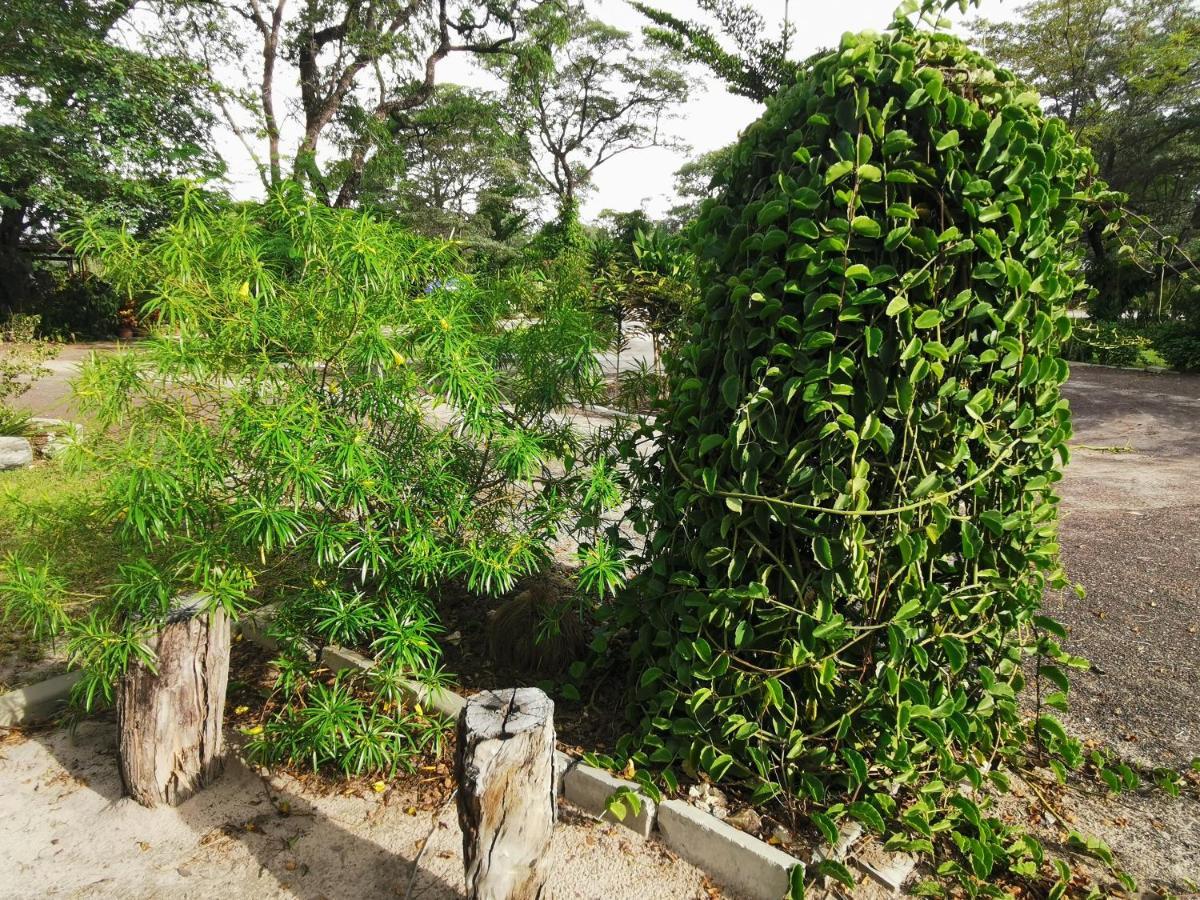 Happy Forest B&B Katima Mulilo Exterior photo