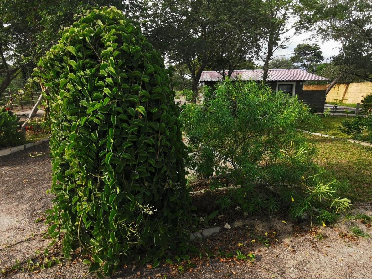 Happy Forest B&B Katima Mulilo Exterior photo