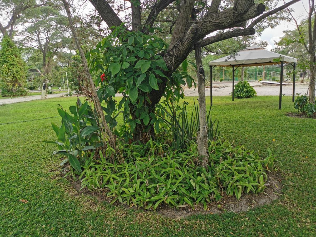 Happy Forest B&B Katima Mulilo Exterior photo