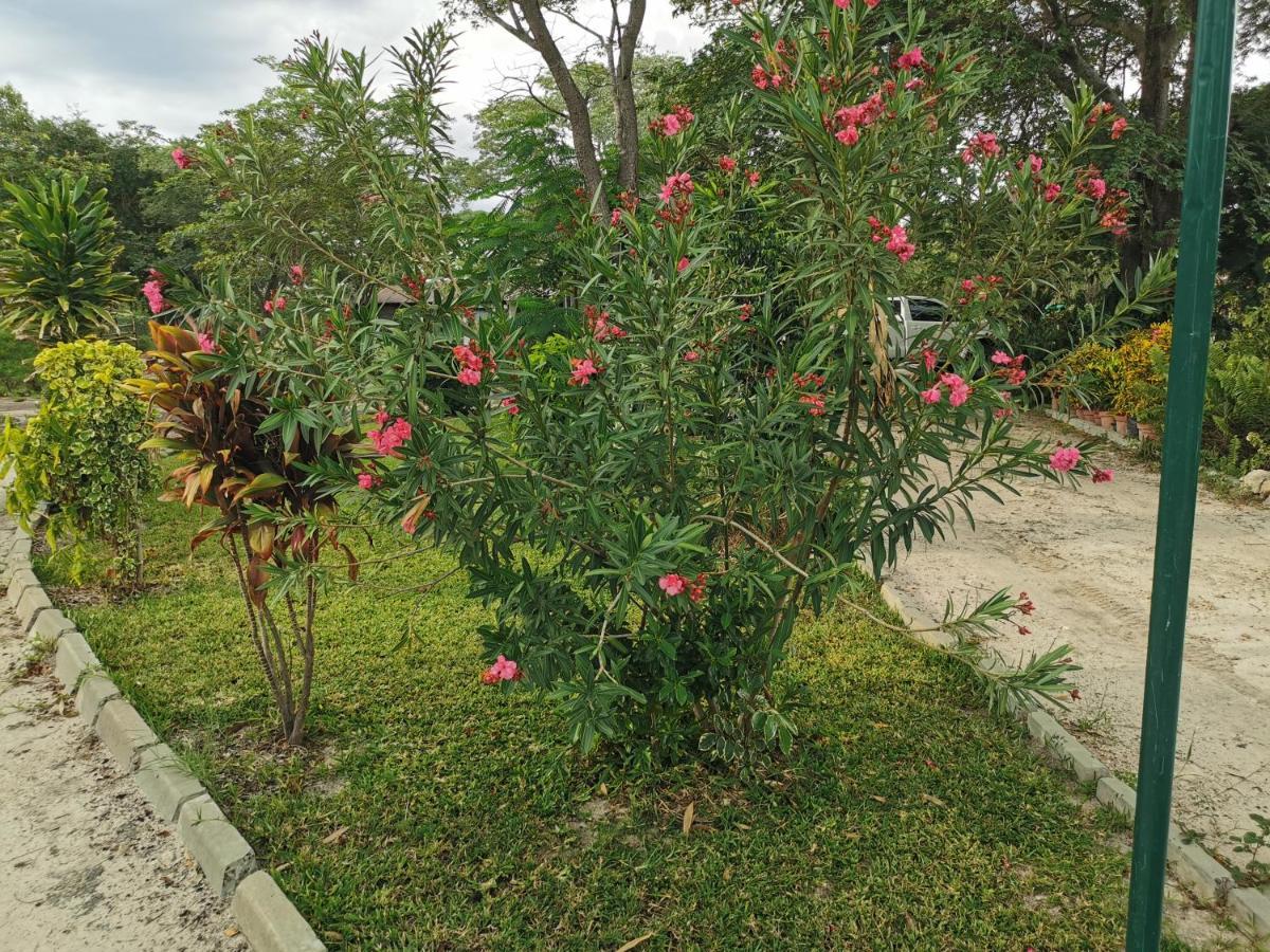 Happy Forest B&B Katima Mulilo Exterior photo