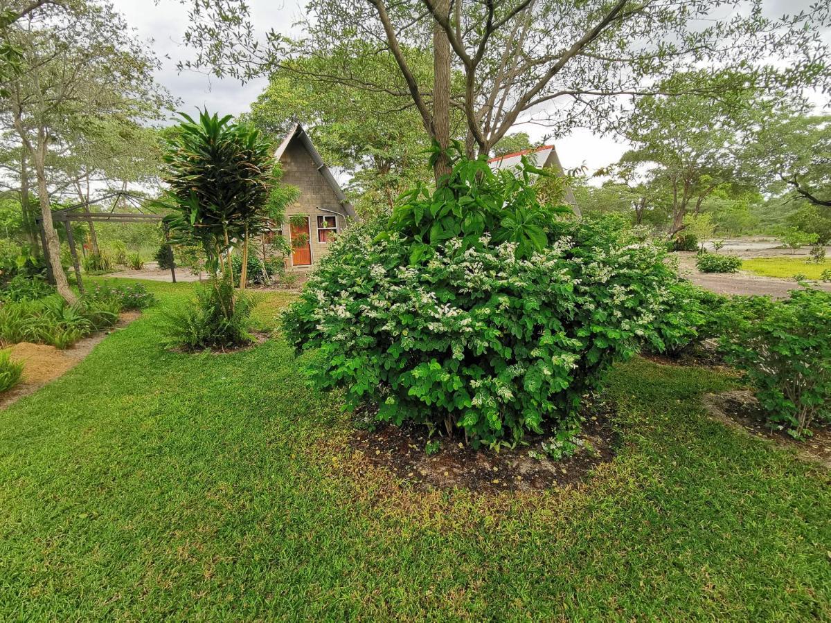 Happy Forest B&B Katima Mulilo Exterior photo