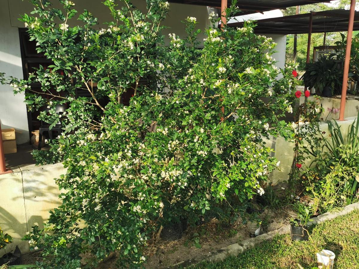 Happy Forest B&B Katima Mulilo Exterior photo