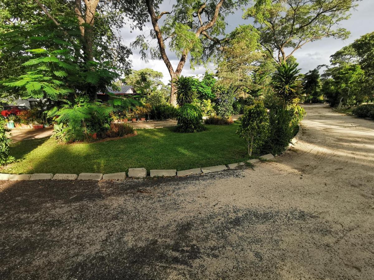 Happy Forest B&B Katima Mulilo Exterior photo