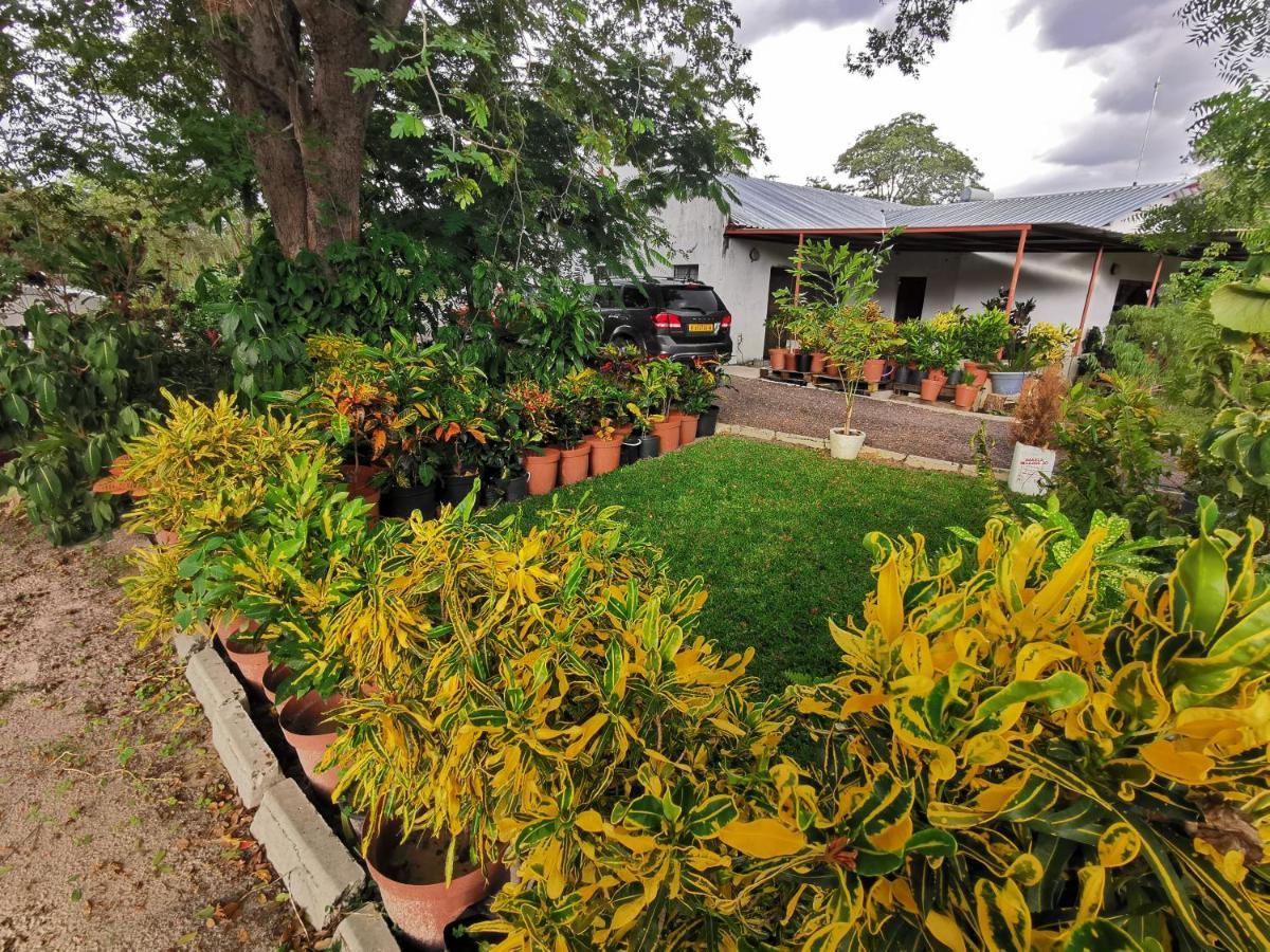Happy Forest B&B Katima Mulilo Exterior photo