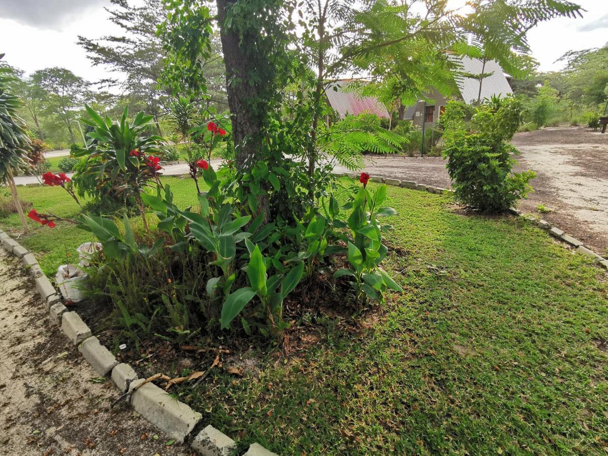 Happy Forest B&B Katima Mulilo Exterior photo